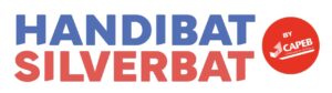 Handibat Silverbat
